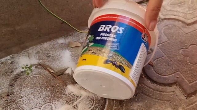 Средство от муравьев в доме и на улице. смотреть онлайн