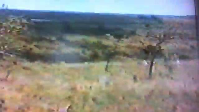 саффари смотреть онлайн