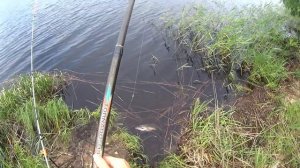 ДОНКИ КРОКОДИЛ Рыбалка в Тверской области Ловля леща на тверскую плоскую Девушка на рыбалке Fishing