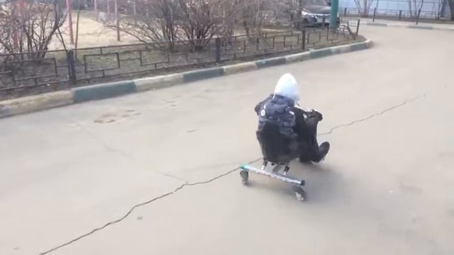 Новый аттракцион в Пласкинино смотреть онлайн