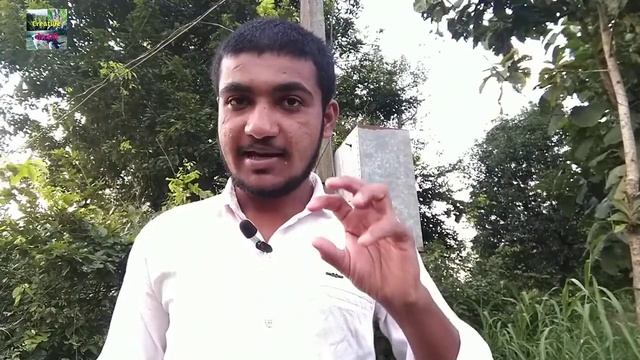 जनावरांच्या जखमेत किडे पडल्यास घरगुती उपाय||Creative शेतकरी||covid19||घरी राहा सुरक्षित राहा||