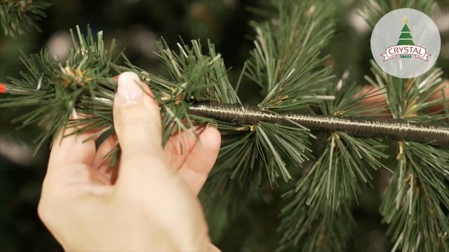 CRYSTAL TREES | Обзор | Ель "Праздничная" смотреть онлайн