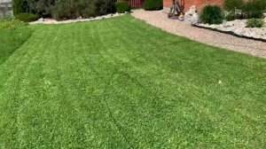 Крапульный ОБЗОР Makita ELM4120