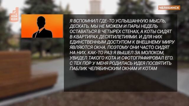 Кошка на окошке смотреть онлайн