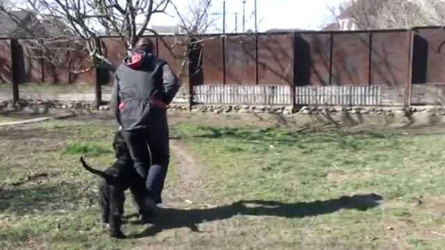 РЧТ Пирка (3,5 месяца)