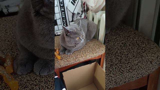 грустно не знаю чем заняться плакать хочется смотреть онлайн