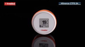 Fondital Minorca CTFS 24 RU Обзор газового настенного двухконтурного котла