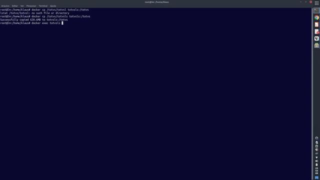 Protheus + Docker # 003 - License Server Virtual смотреть онлайн
