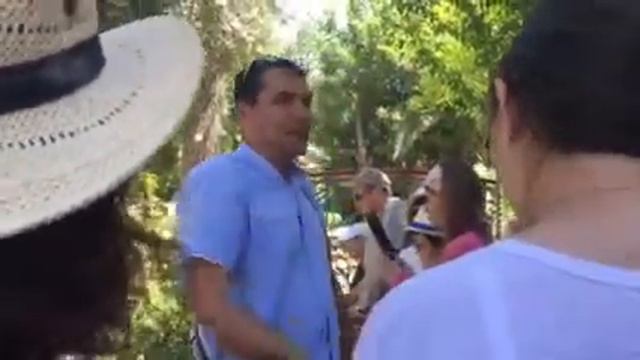 Что делали девушки, которые хотели выйти замуж, по израильскому обычаю, смотреть онлайн