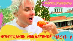 Экспериментируем и пробуем на вкус! Мандаринки - продолжение!