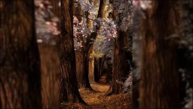 ИСЦЕЛЯЮЩИЕ ЗВУКИ ПРИРОДЫ.?