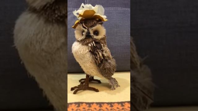 В гостях у Мирона Сказка Как зайчик потерях хвост смотреть онлайн