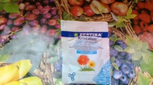 Фертика Кристалон цветочный. Лучшее для красивоцветущих растений.