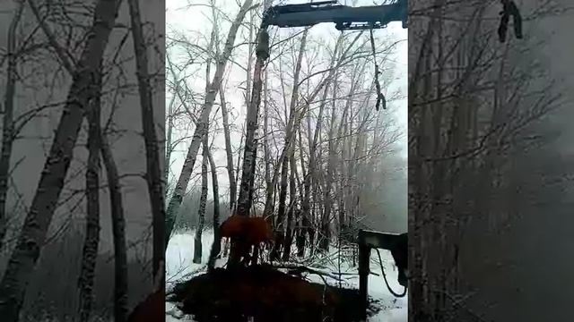Бурение диаметром 1300 мм. смотреть онлайн