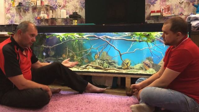 Диалоги об аквариуме. Выпуск №3. Дизайн. Биотопный аквариум.Цихлиды. Кормление. Акваскейп.(Часть 2) смотреть онлайн