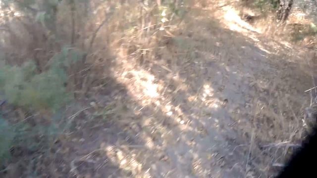 Когда прибывает вода