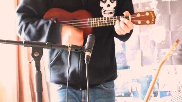 The King Blues - Tory Is A Four Letter Word Ukulele Cover 1080P