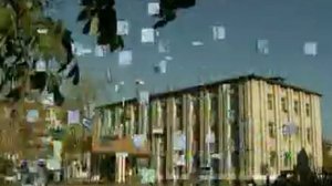 Любимый Биробиджан!