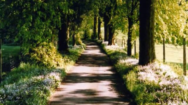 Robert Burns "Ye Banks and Braes O' Bonnie Doon" смотреть онлайн