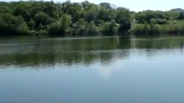Рыбалка Донецк Толстолобик гуляет на Кардоне Ясиноватая 1 часть смотреть онлайн