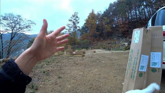 Опять уехала на дачу ^^ KOREA VLOG