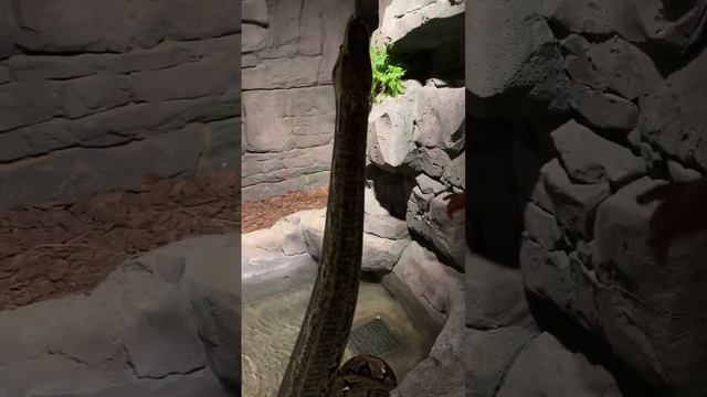 29 января 2024 г. смотреть онлайн