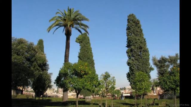 Зимой в Риме (Рим, Италия) смотреть онлайн