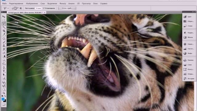 Photoshop урок для начинающих, отбеливание зубов.avi смотреть онлайн