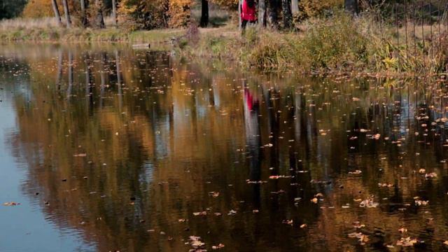 Ты моя осенняя, ты моя обманная!.. Душа поет о любви - Славич смотреть онлайн