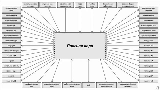 11.23.2 Подробное разъяснение. Поясная кора. Часть вторая смотреть онлайн