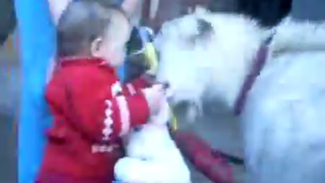 Цыганочка с выходом смотреть онлайн