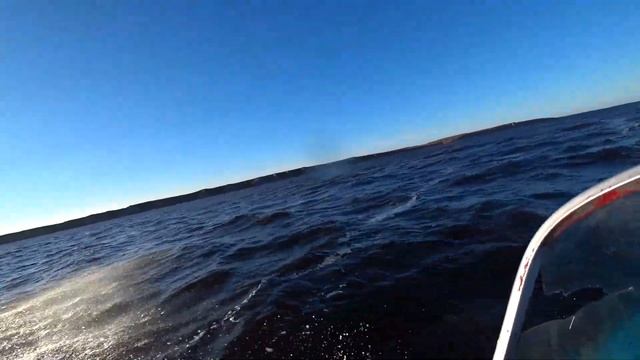 Живу на севере смотреть онлайн