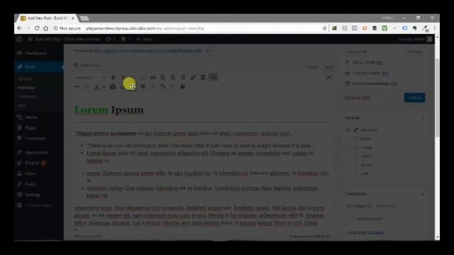 WordPress formatting bar overview смотреть онлайн