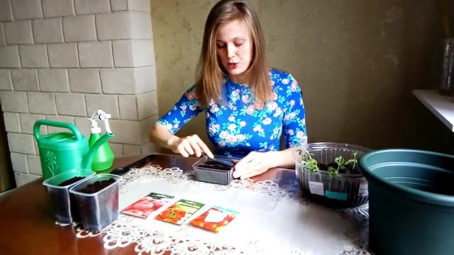 Мастер-класс Нестеркина Наталья Николаевна
