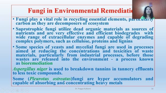 Economic Importance of Fungi смотреть онлайн