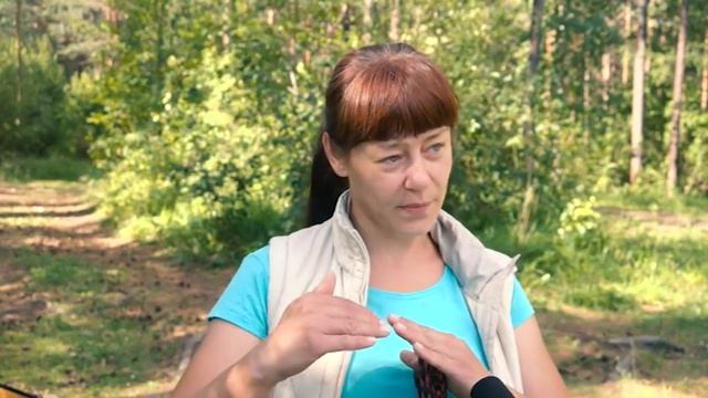 Акита - особенности породы смотреть онлайн