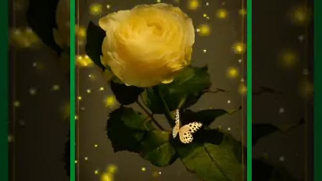 Нашид про Бажу, Жена Саида Афанди (Къ. С.) смотреть онлайн