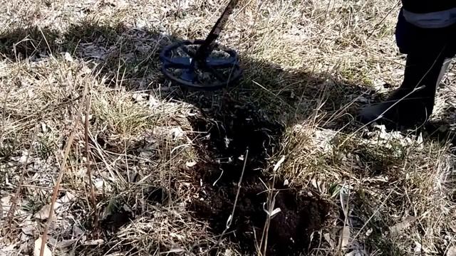Minelab Safari. Смотрим первый коп, изучаем прибор вместе.