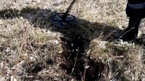 Minelab Safari. Смотрим первый коп, изучаем прибор вместе.