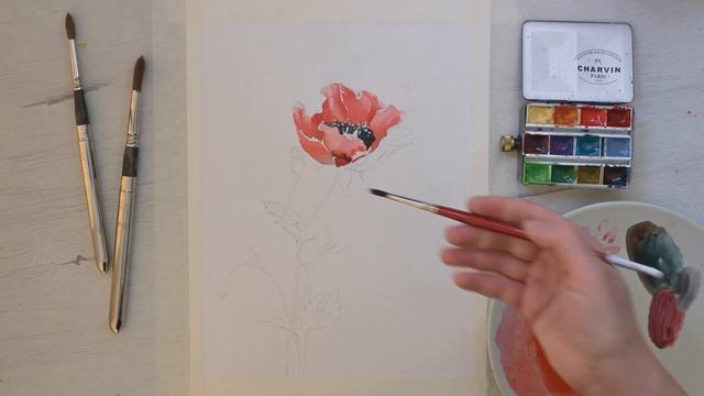 [Watercolor Painting] How to paint flower: Poppy - Demo lessons for beginners смотреть онлайн