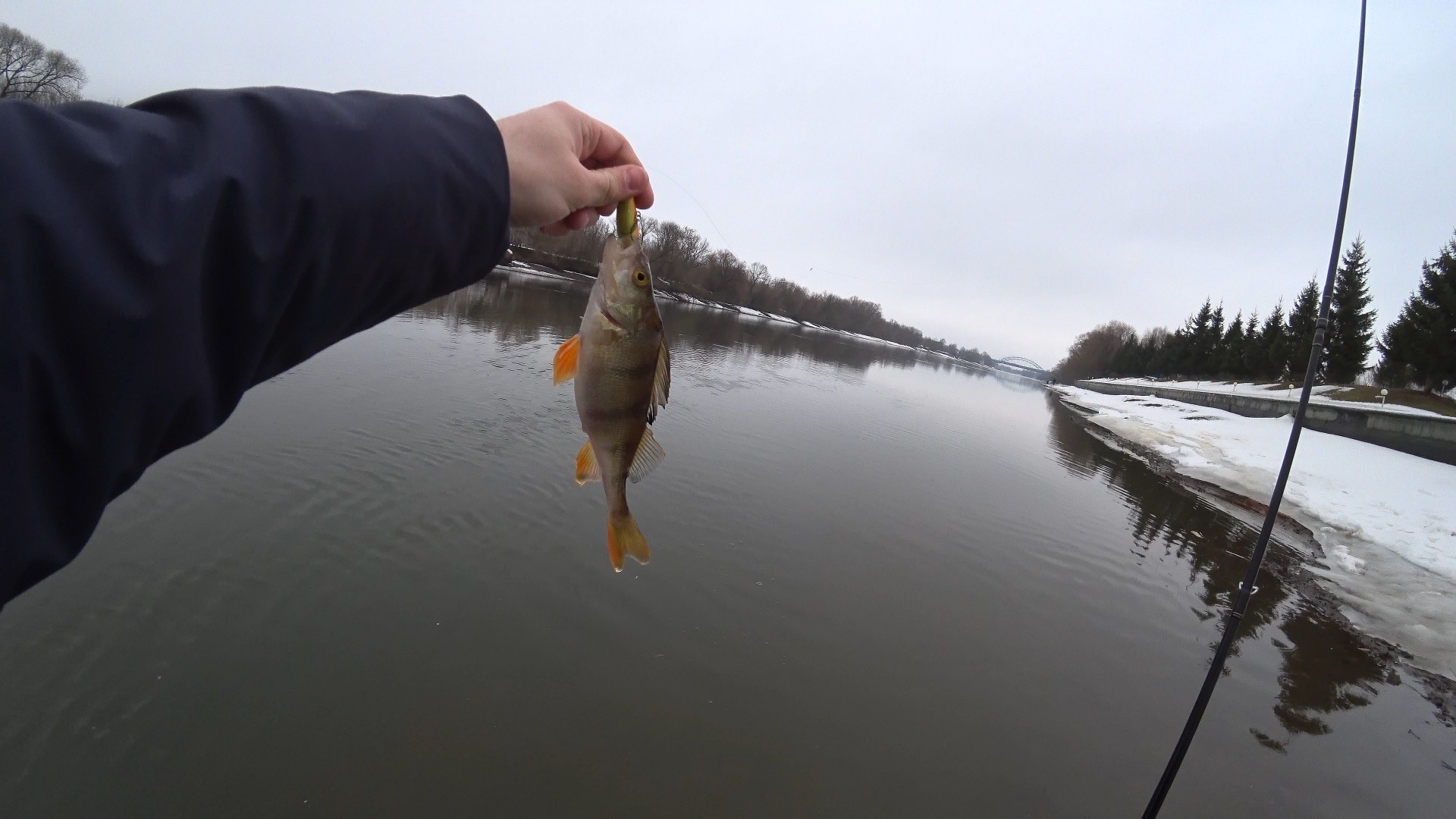 Окунь в онлайне вместо ночного судака. Рыбалка в непогоду на Москва-реке.