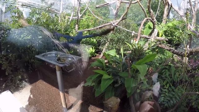 Венсенский зоопарк Париж / Parc Zoologique De Paris