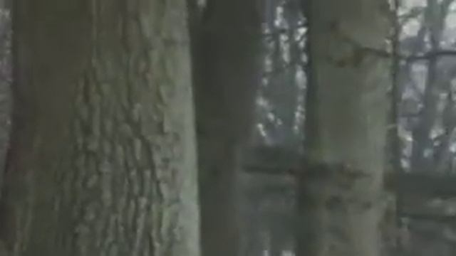 Blackadder Season 1 Episode 2 YouTube смотреть онлайн
