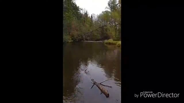 Горная рыбалка осень смотреть онлайн