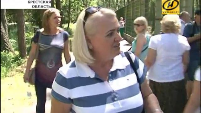 Туристы из Европы без визы посетили Беловежскую пущу смотреть онлайн