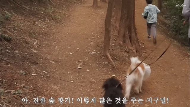 ?아늑한 집의 가을 아침 일상ㅣ손바느질로 가림 커튼 만들기, 귀여운 홈까페, 김밥으로 행복지수 올리는 법 смотреть онлайн