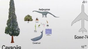 размеры объектов во вселенной