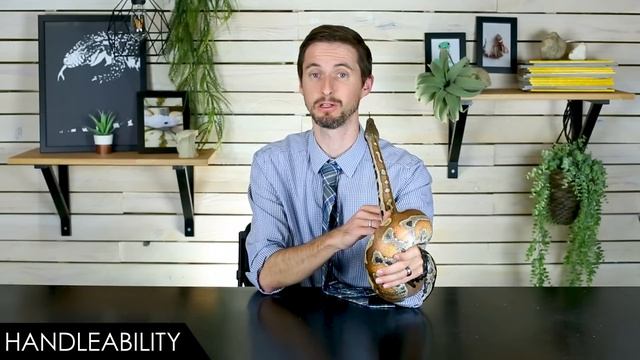 Blood Python, The Best Pet Snake? смотреть онлайн