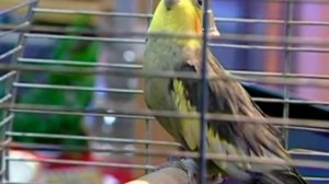 Физика 59. Атмосферное давление. Опыт Торричелли — Академия занимательных наук