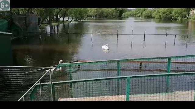 Как интересно провести выходной. смотреть онлайн